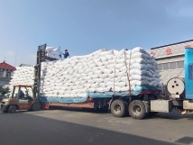 把握機(jī)遇、鉚足干勁、承勢而上